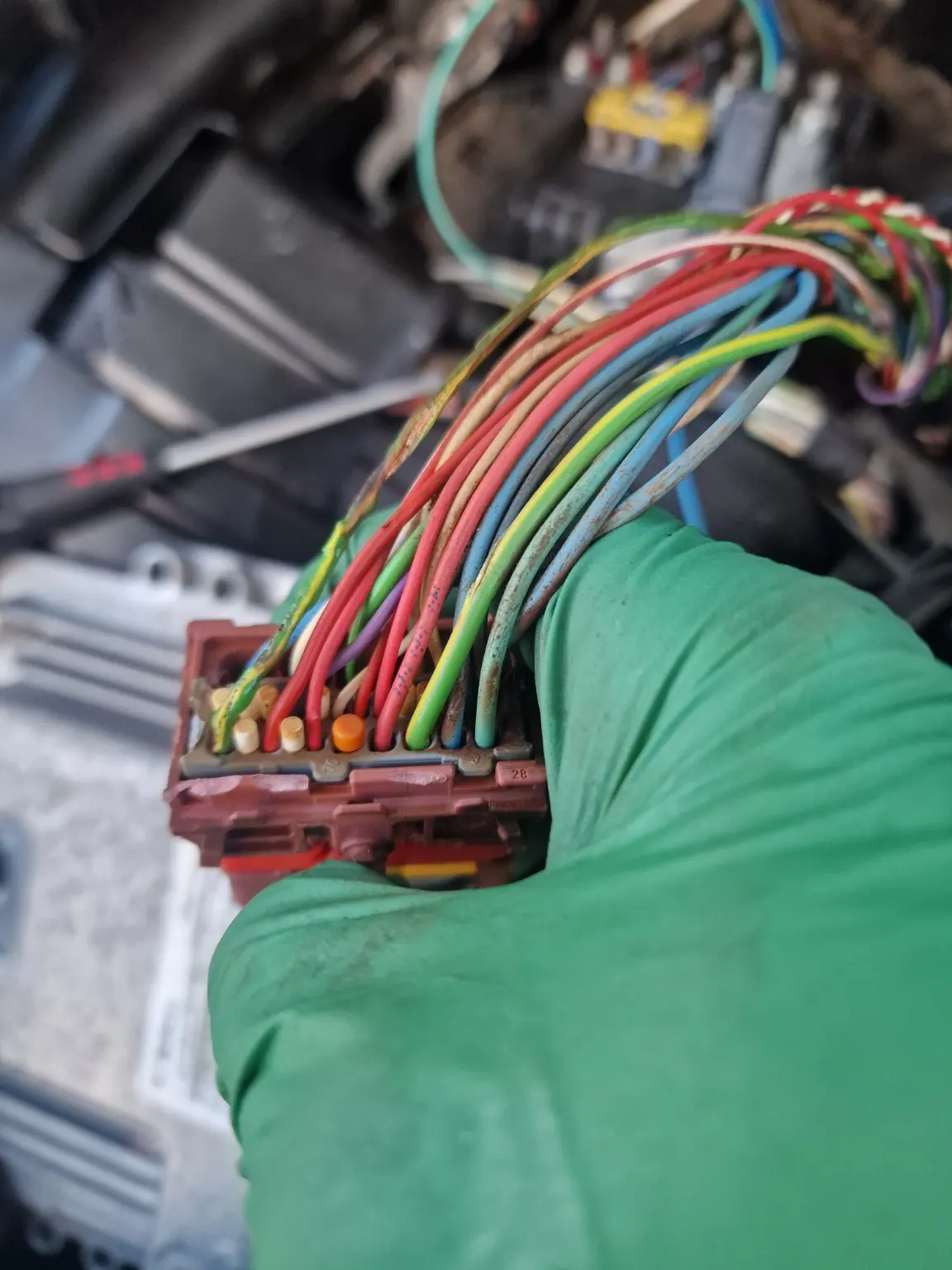 Vehicle wiring loom connector being inspected